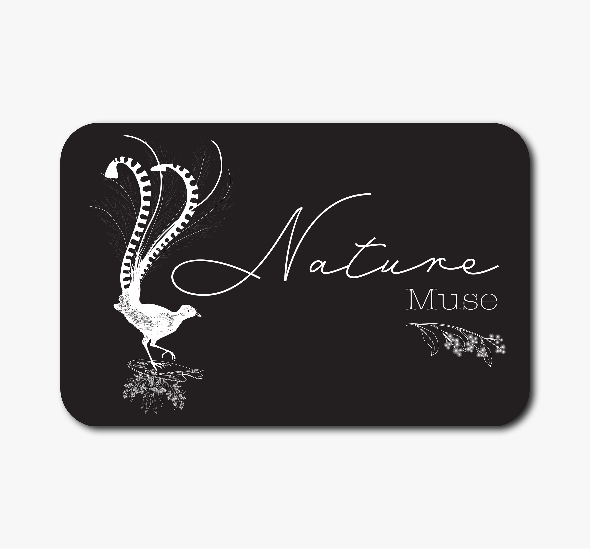 Black rectangular card with white illustration of a bird with three long, striped tail feathers and floral accents. The words 'Nature Muse' written in elegant cursive and serif fonts.
