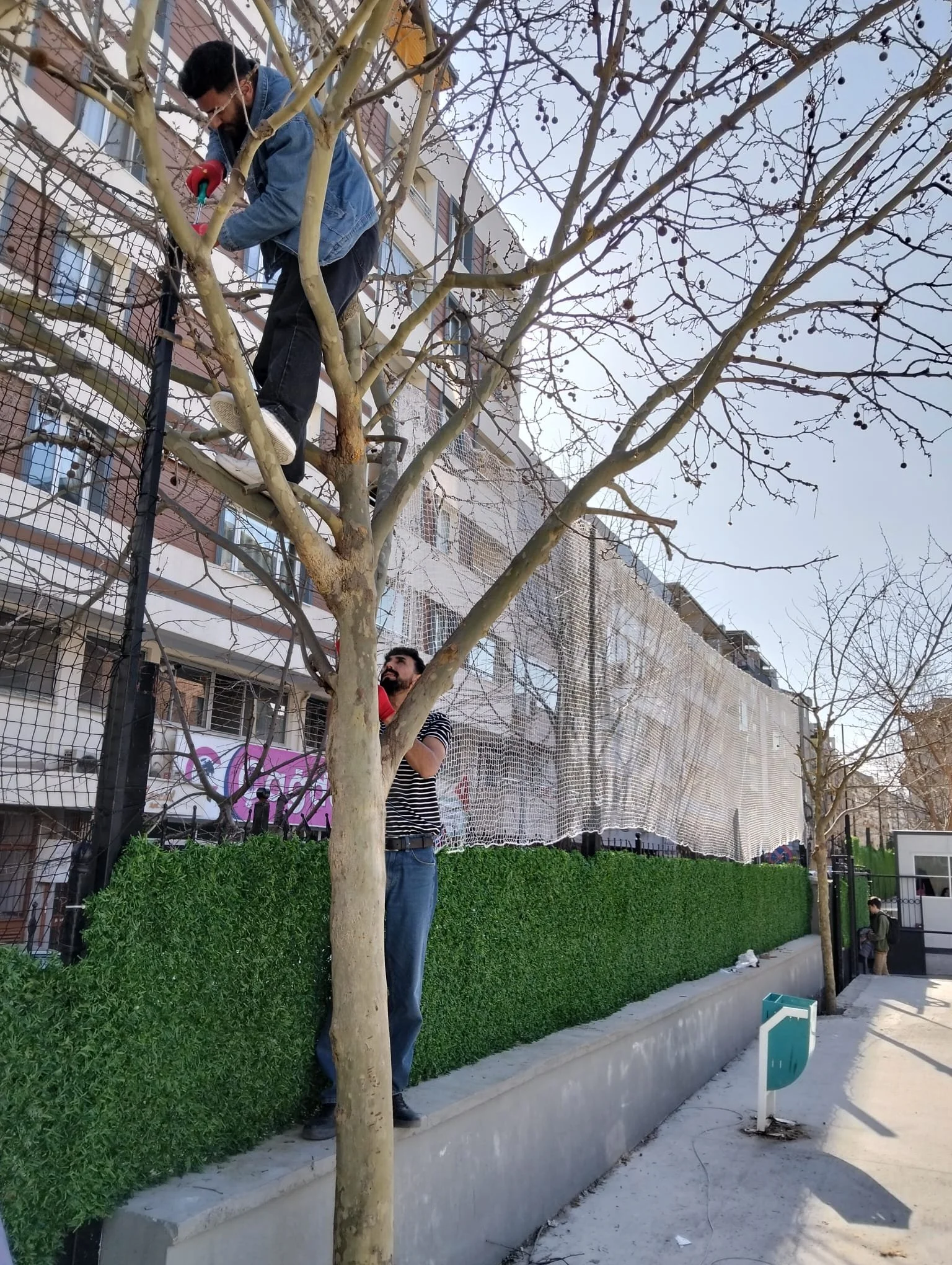 WhatsApp Imagess 2026-03-10 at 12.49.59.jpeg