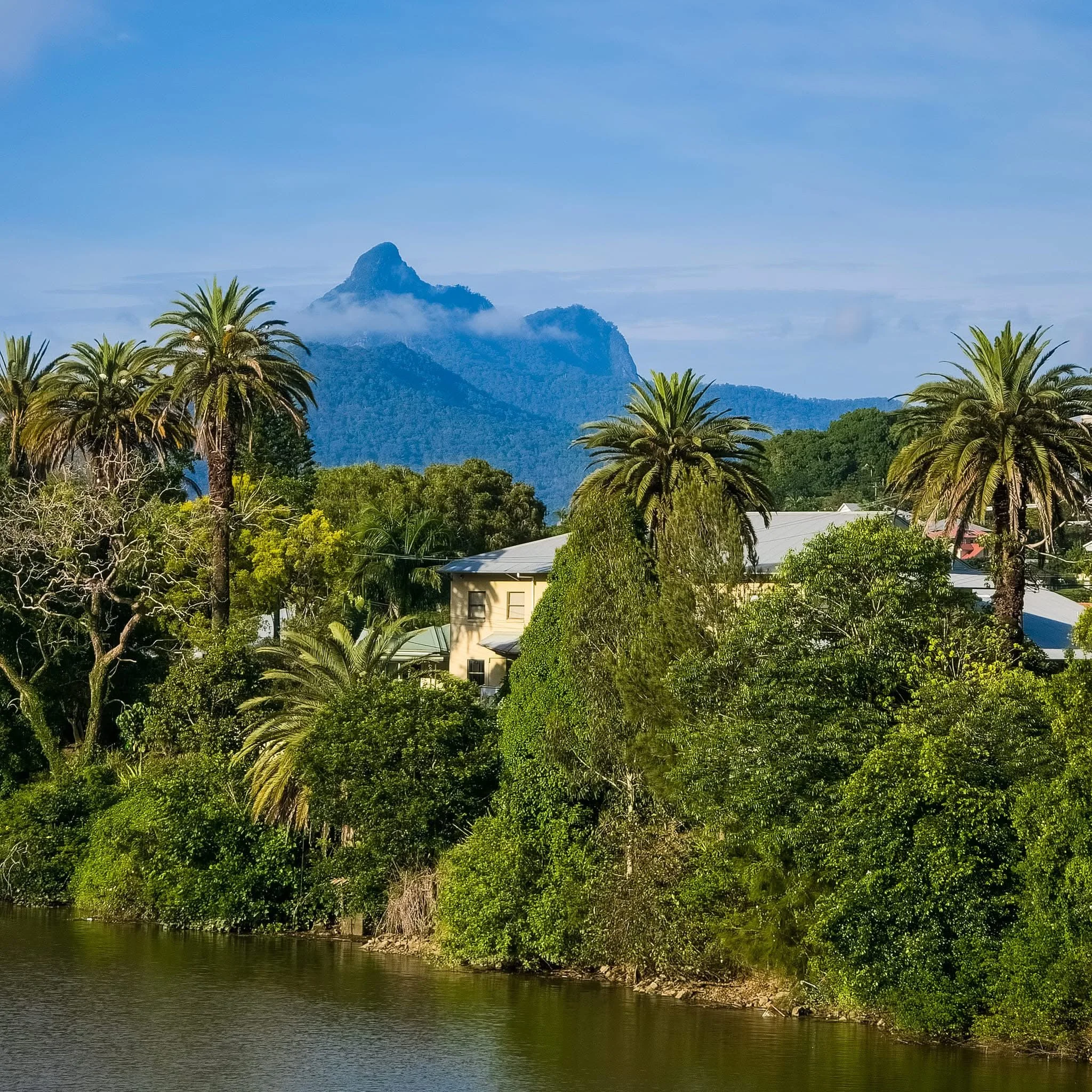 View of mountains partially covered by clouds, surrounded by lush green palm trees, with a body of water in the foreground.