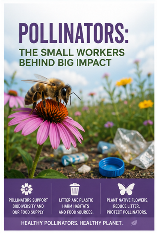 Pollinators: The Small Workers Behind a Healthy Planet