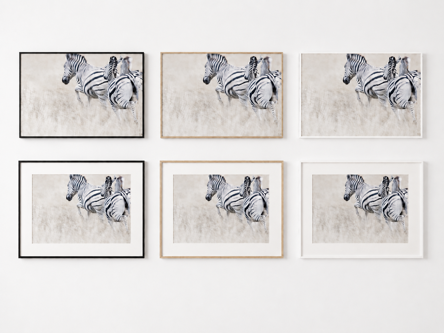 ZEBRA - 3.webp