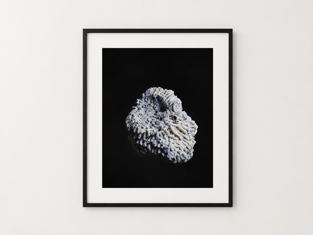 CORAL