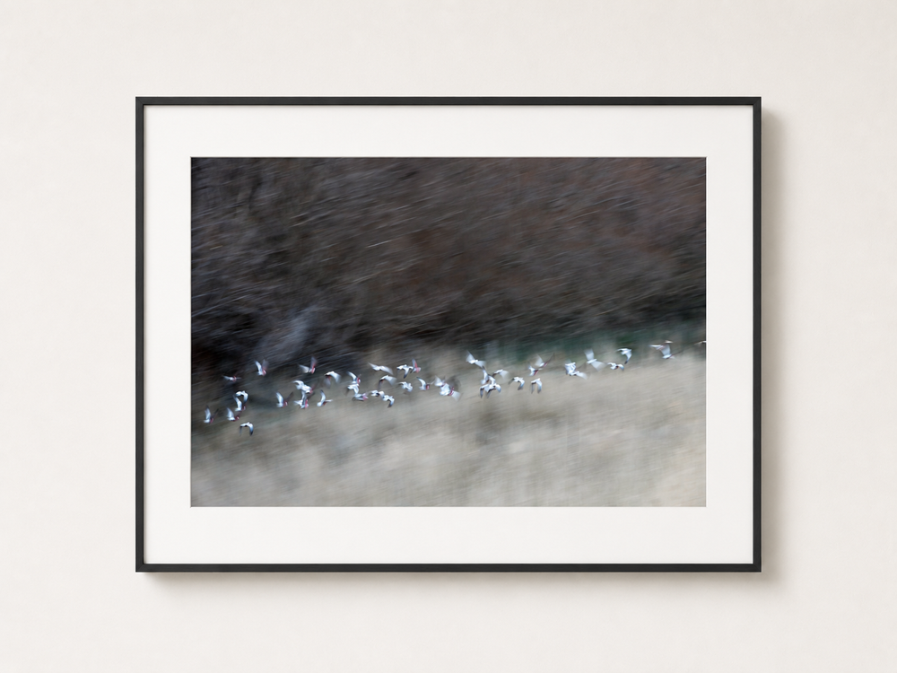 GALAHS