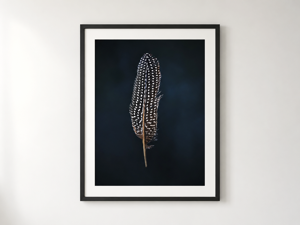 FEATHER
