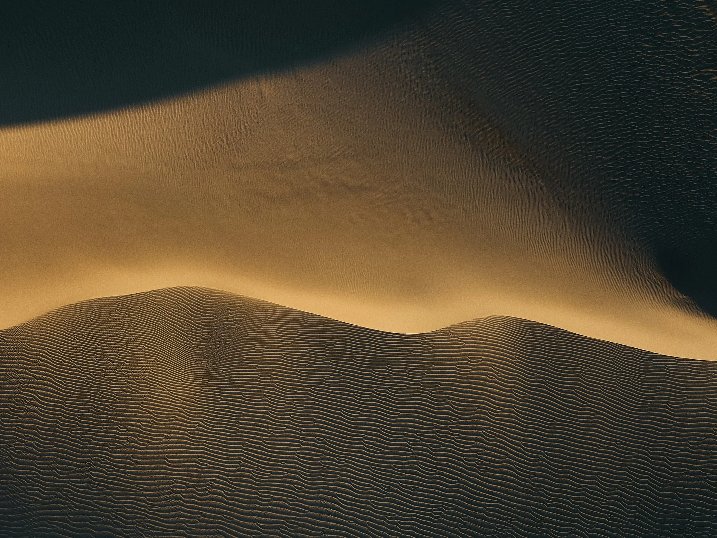 DUNE-fine-art-photography-detail-jeremy-simons.jpg