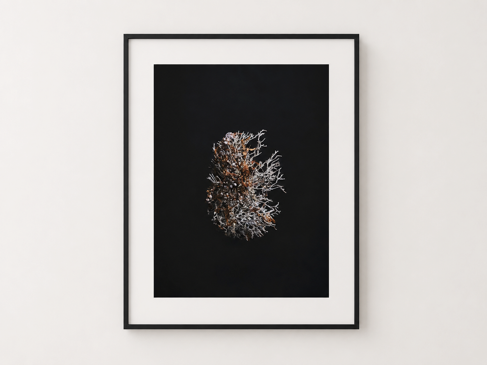 CORAL