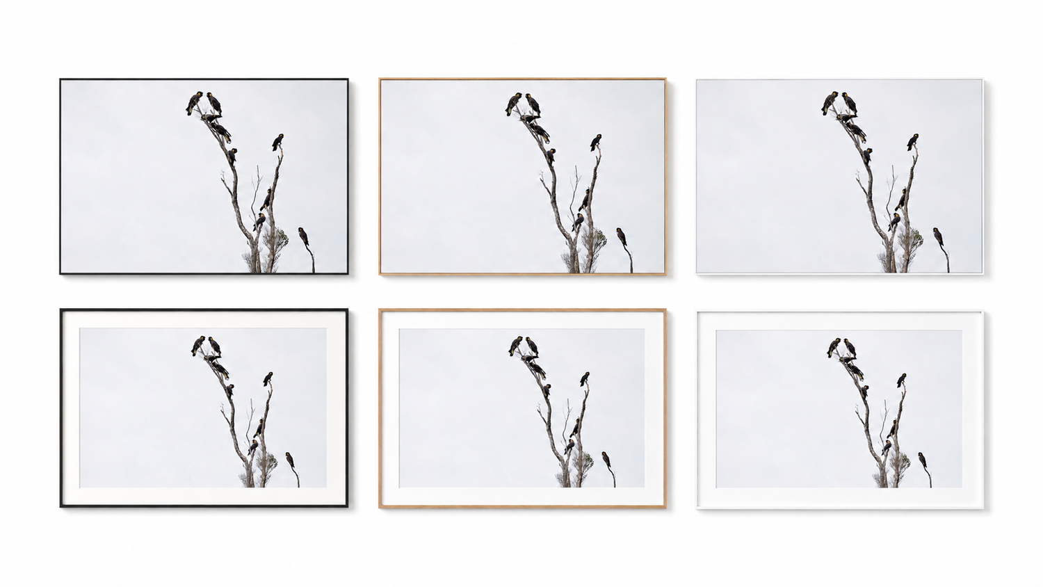 Framed+Options+.webp