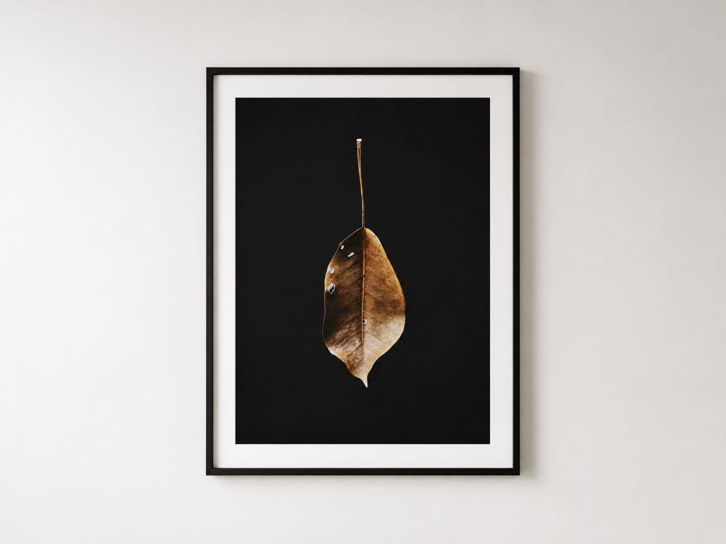 LEAF