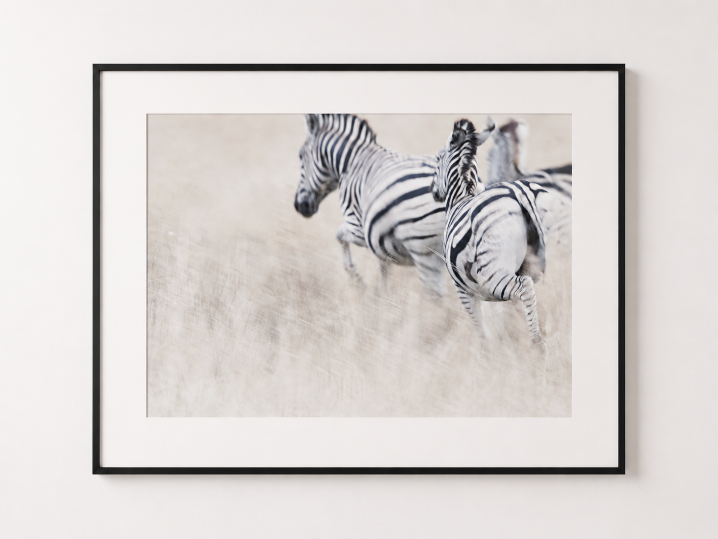 ZEBRA - 1.webp