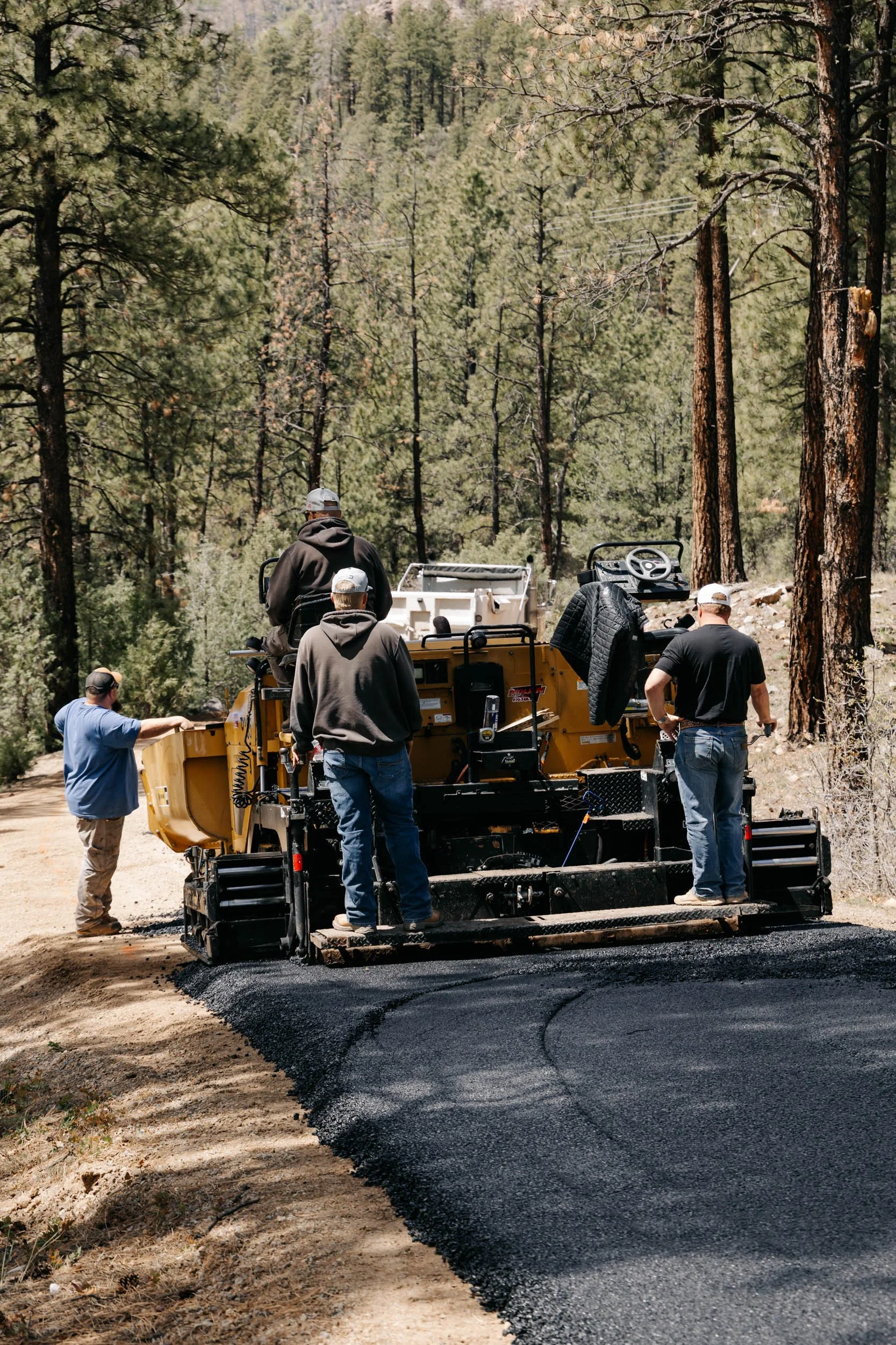 A group of people working on paving a road through a forest, with trees and pine in the background.