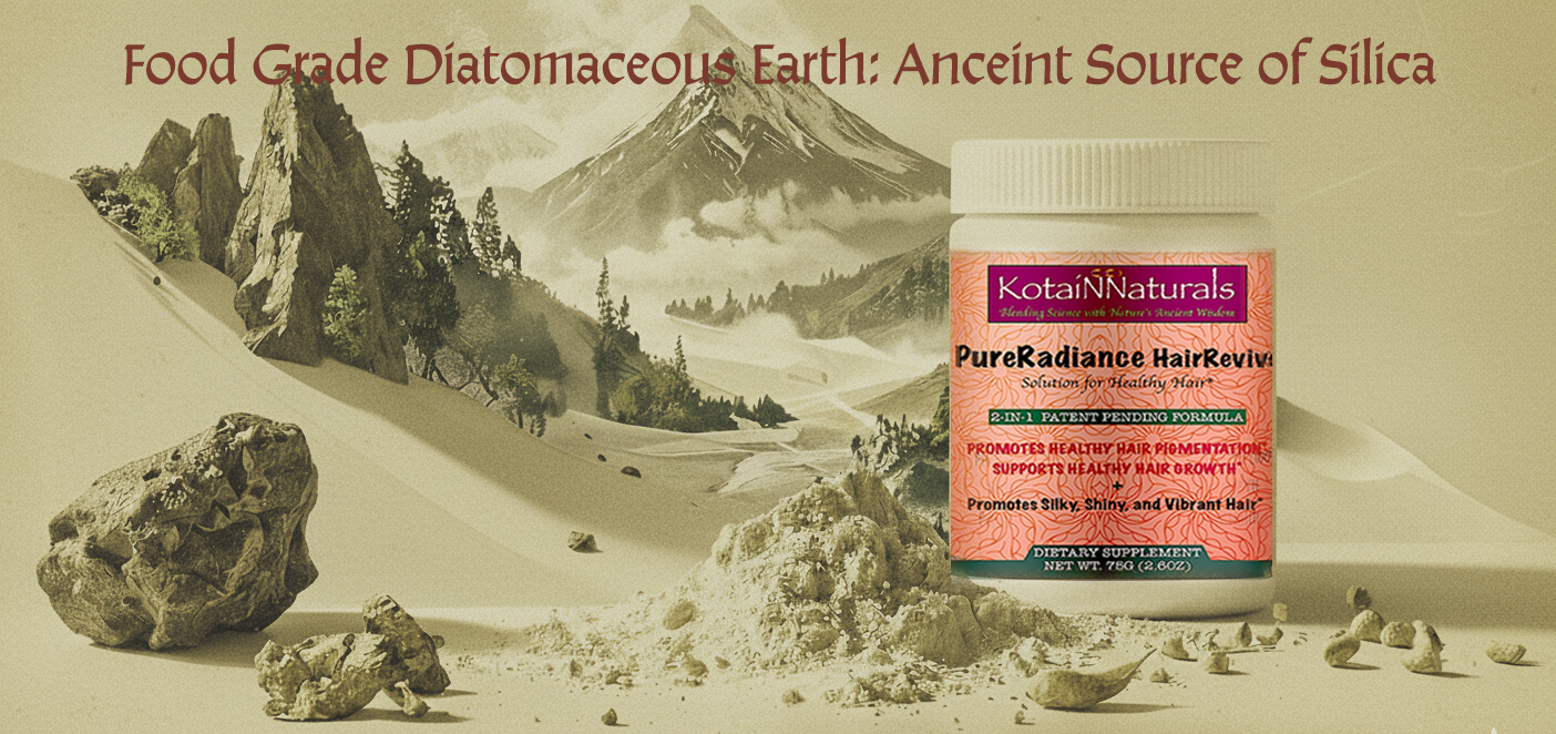 Why Food-Grade Diatomaceous Earth Is the Best Natural Source of Silica