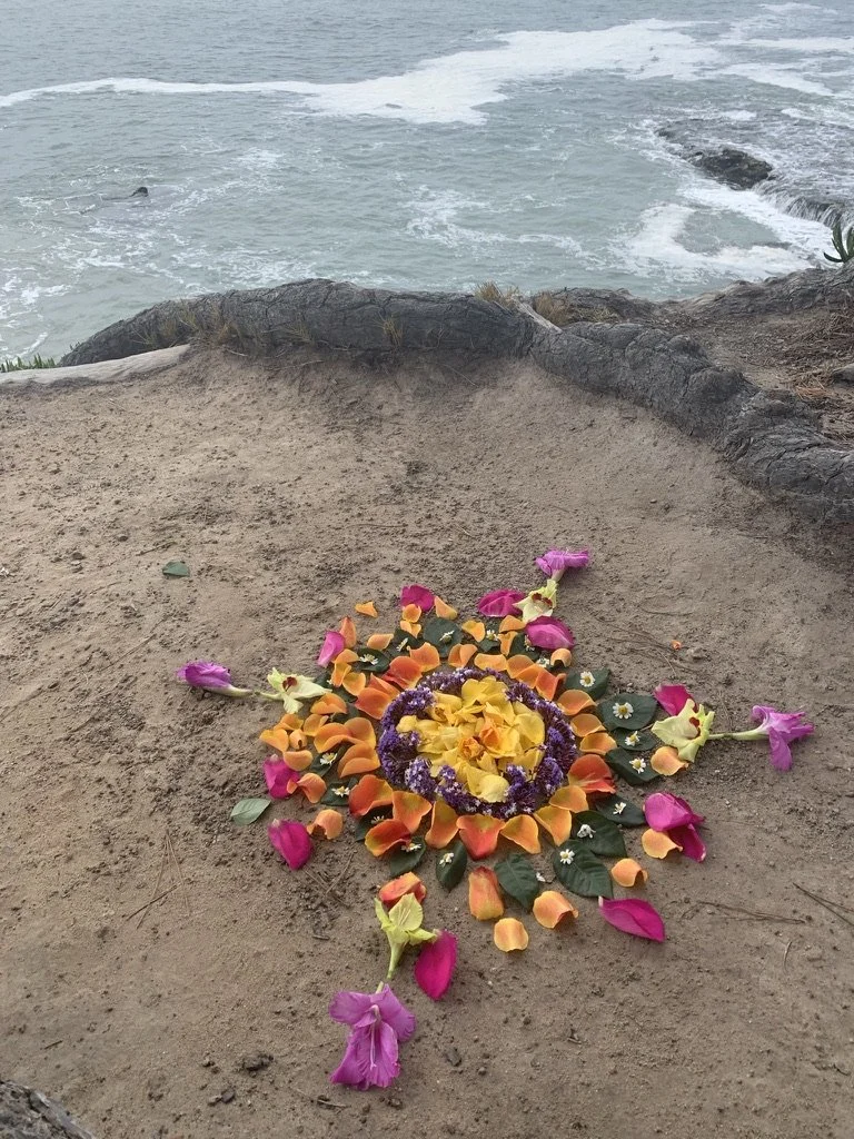 Plant Spirit Guided Meditation