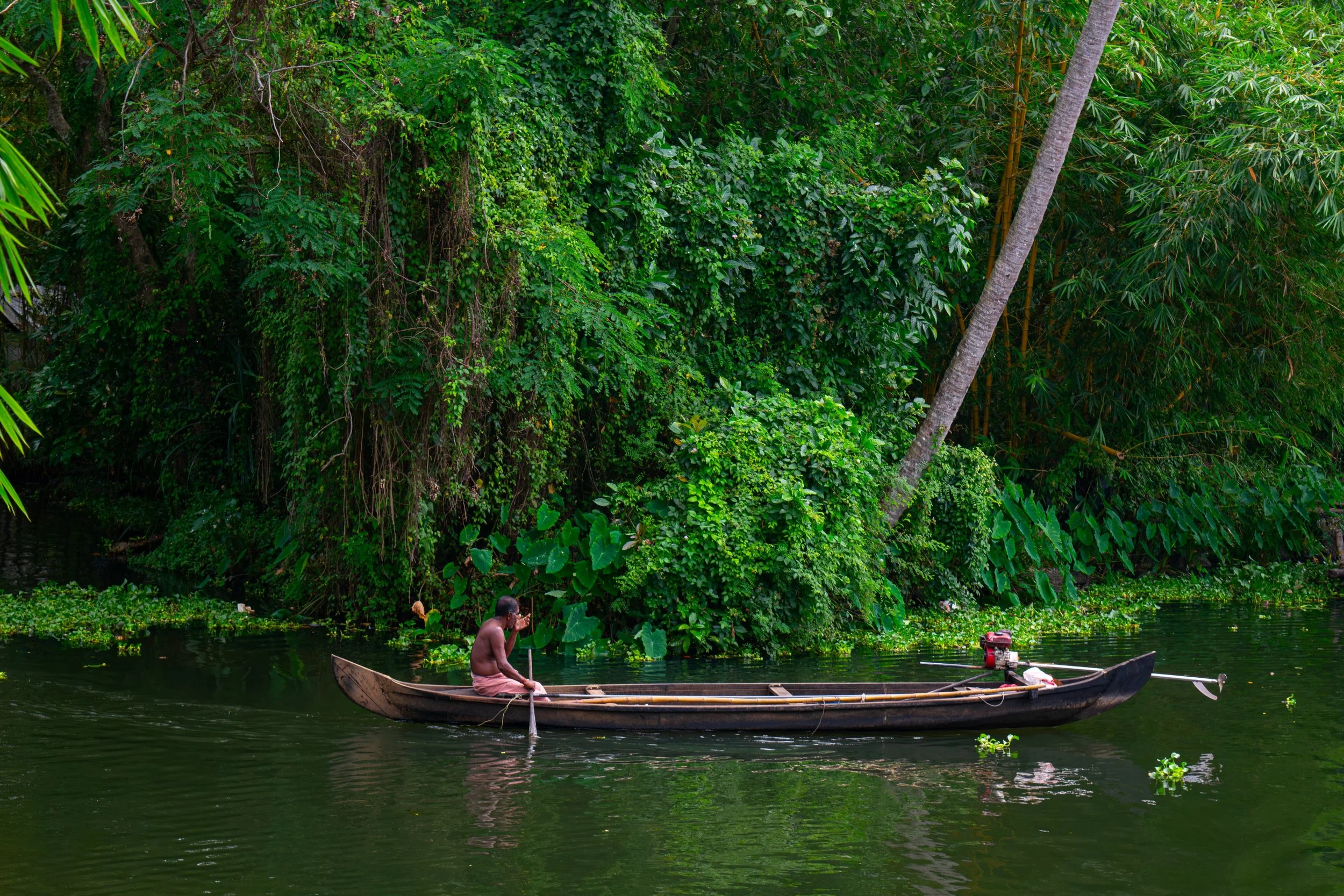 Kerala 7x5-2.jpg