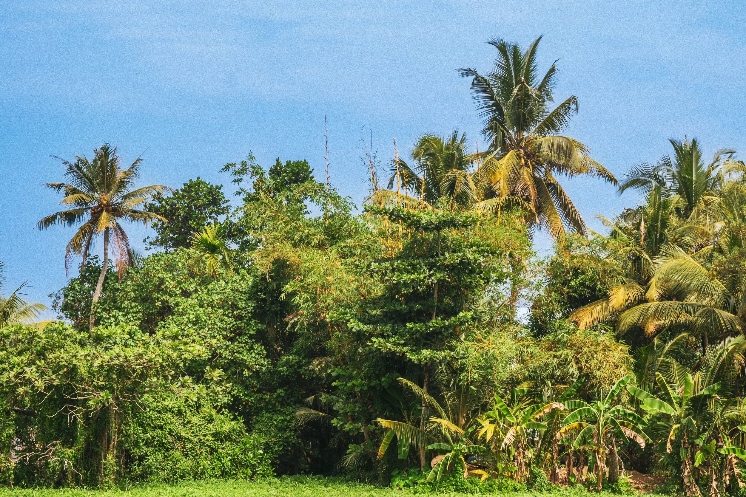 Kerala-9.jpg