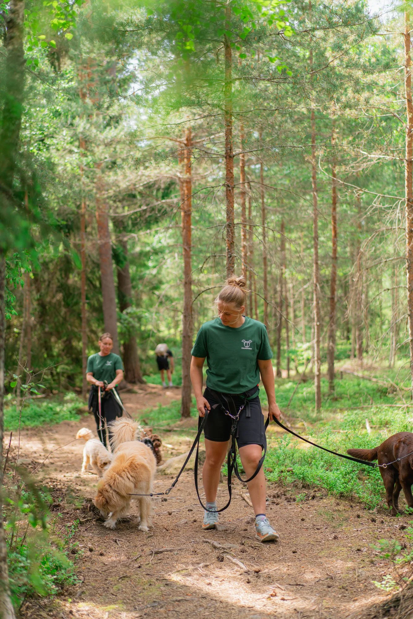 Tre personer som går med hundar i en grön skog, en av dem är kvinnlig, alla bär gröna t-shirts.