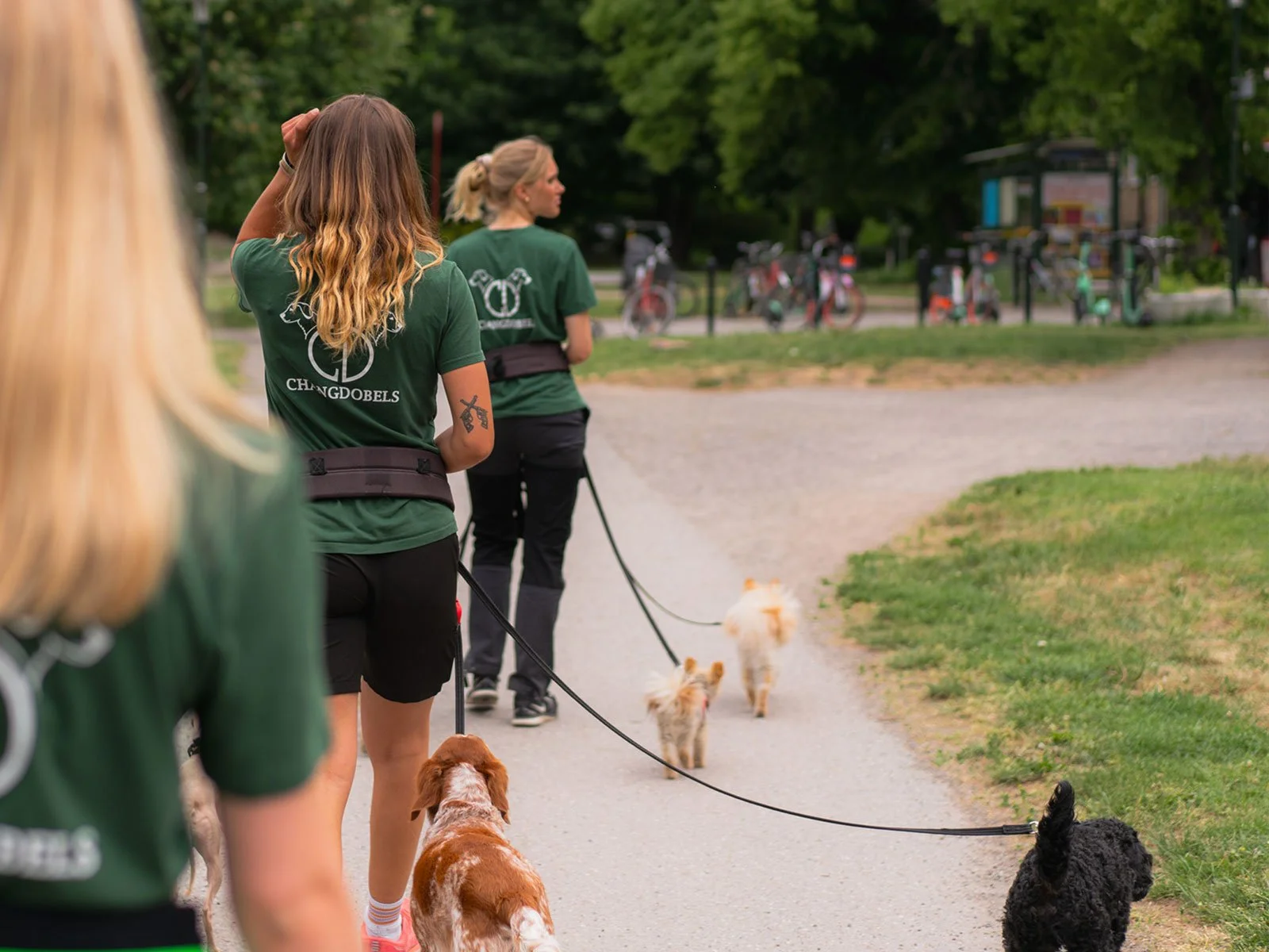 Grupp människor och hundar som promenerar i en park.