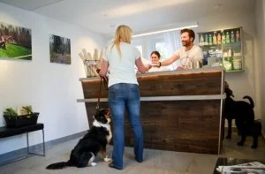 Täby Hundcenter får nyrenoverat hundpensionat!