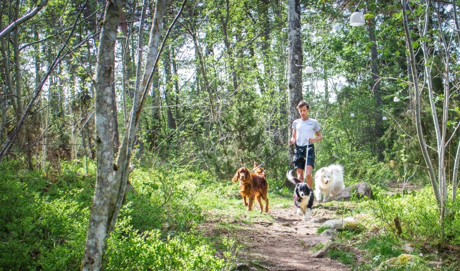Changdobels i tidningen "Mitt i Danderyd"