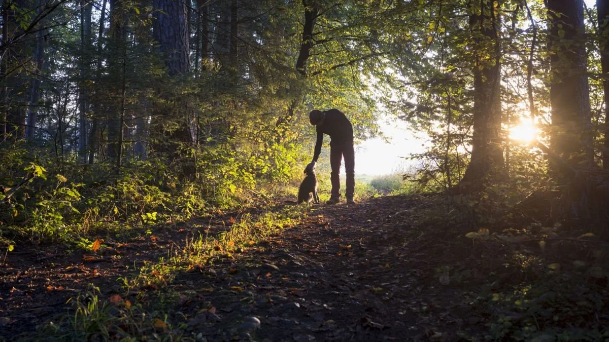 Ni har väl inte missat hundkursstarterna nu i maj?