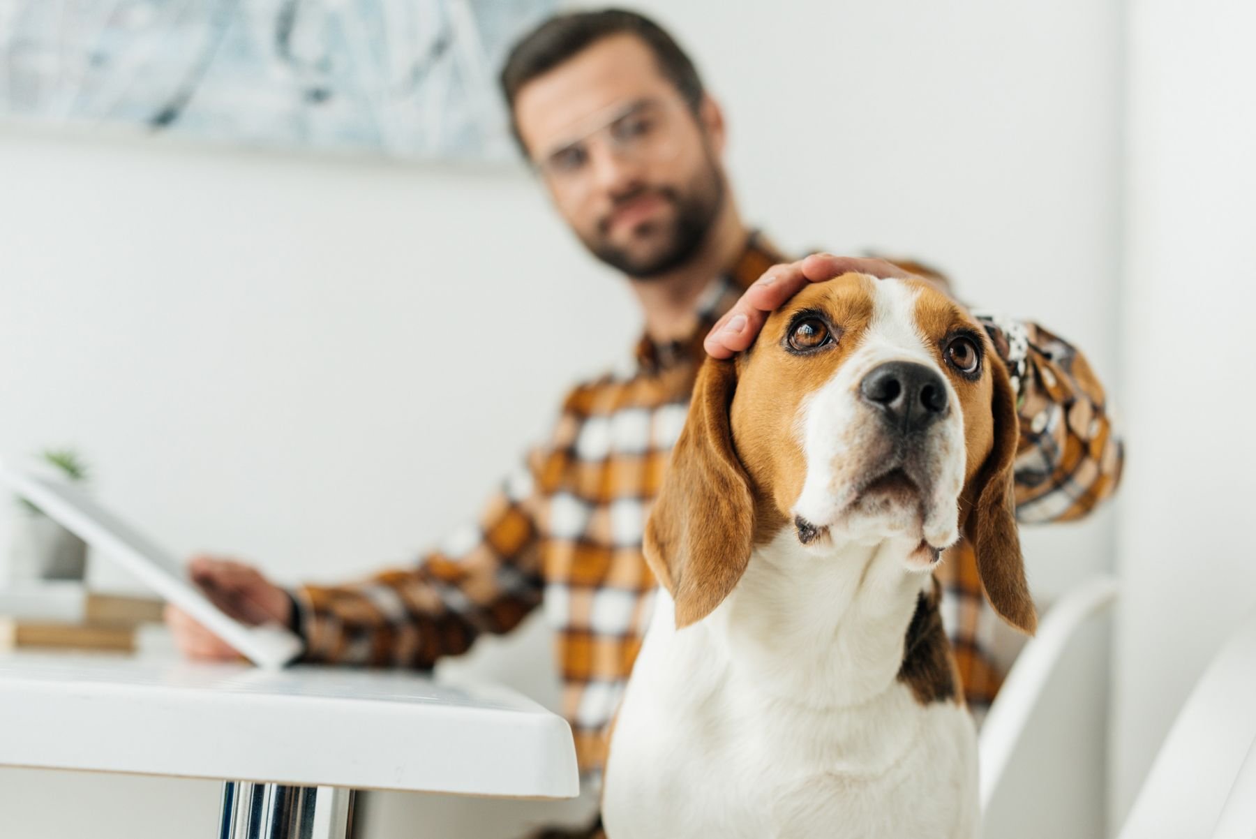 Vi söker ny vice platschef till Täby Hundcenter