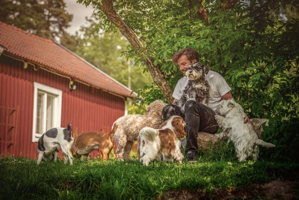 Vi söker hundskötare till alla våra enheter