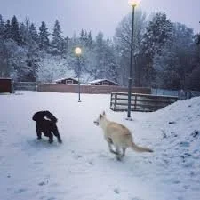 Som barn på julaftonsmorgon