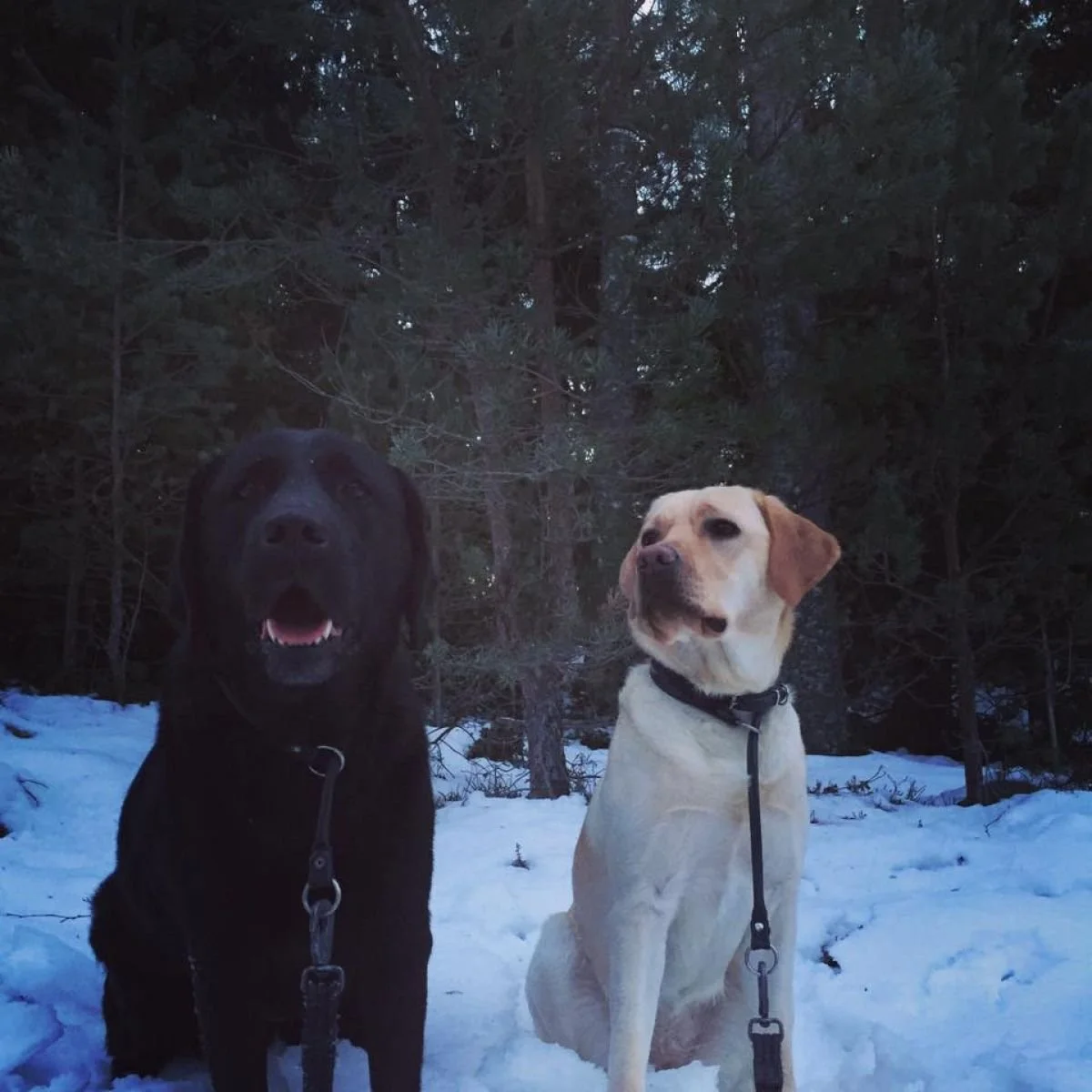 En härlig start på denna tisdag