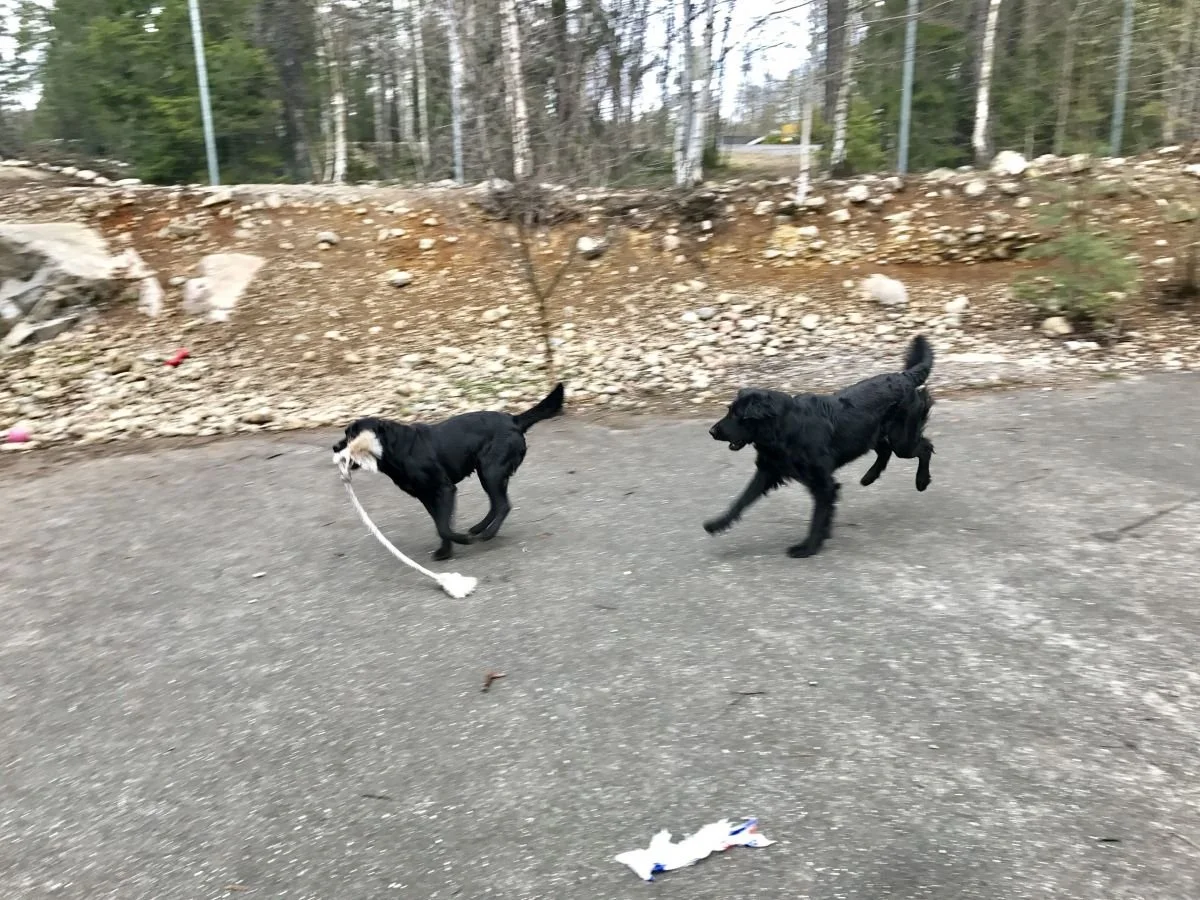 Påskvecka Vallentuna v.15