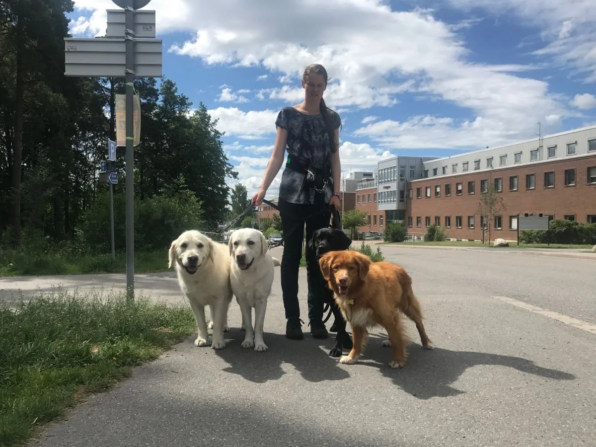 Danderyd 