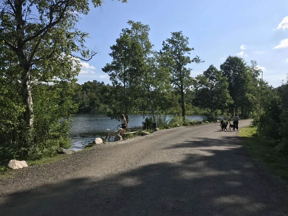 Danderyd 