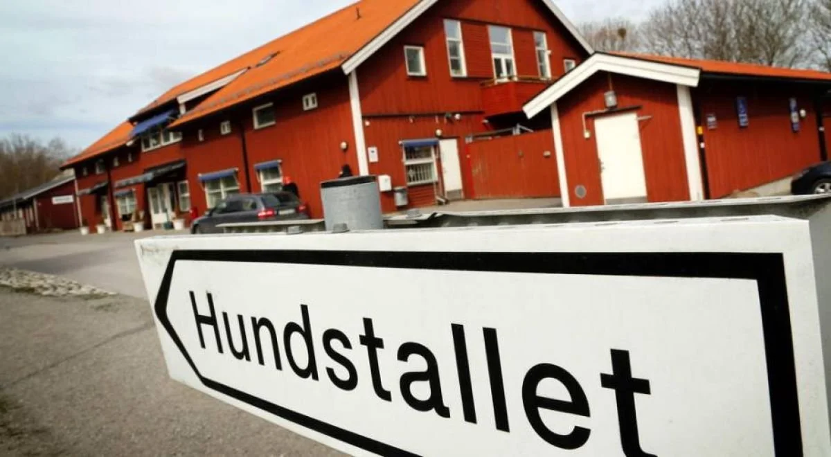 Hundstallet insamling