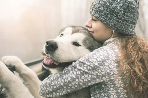 Ljuskänslig eller rädd hund? Se hit!