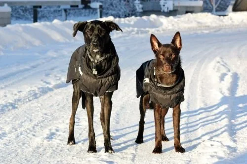 Varmt och skönt i kylan!