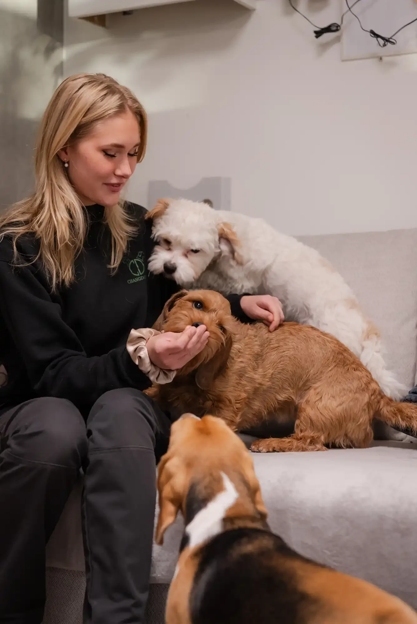 En kvinna som håller ett litet hundvalp medan flera andra hundar vilar runt omkring henne i ett rum.