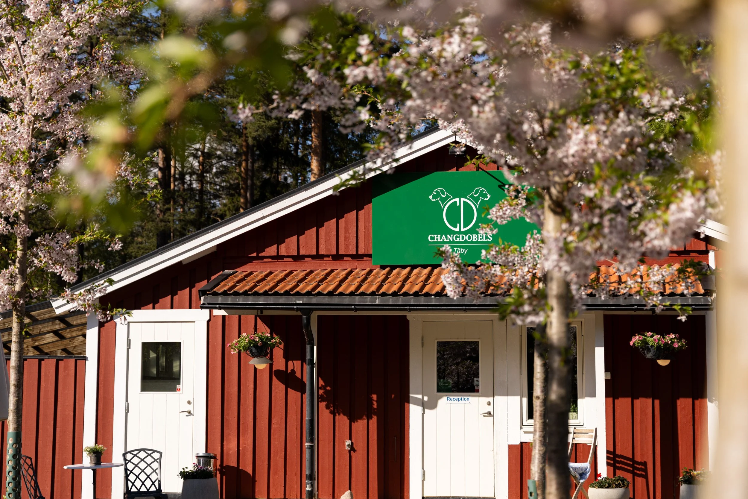 Röd byggnad med grönt skylt som har texten 'CHANGDOBELS' och ett hundsymbol. Framför byggnaden finns blommande träd och utomhusmöbler.