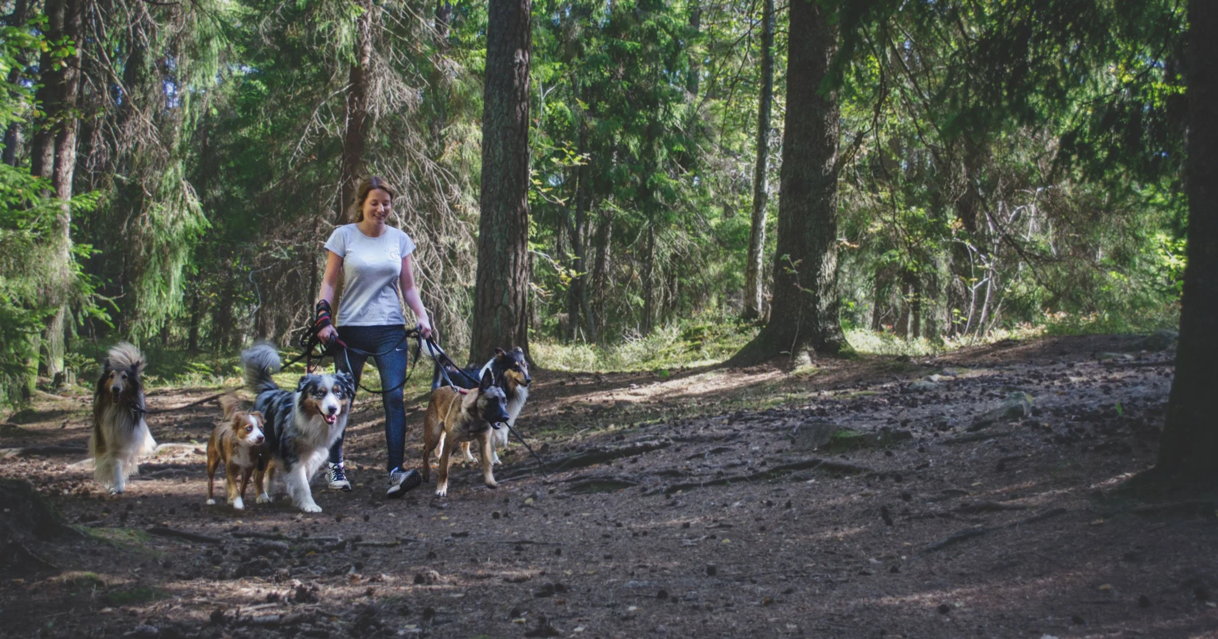 En kvinna som går med fem hundar i en skog.