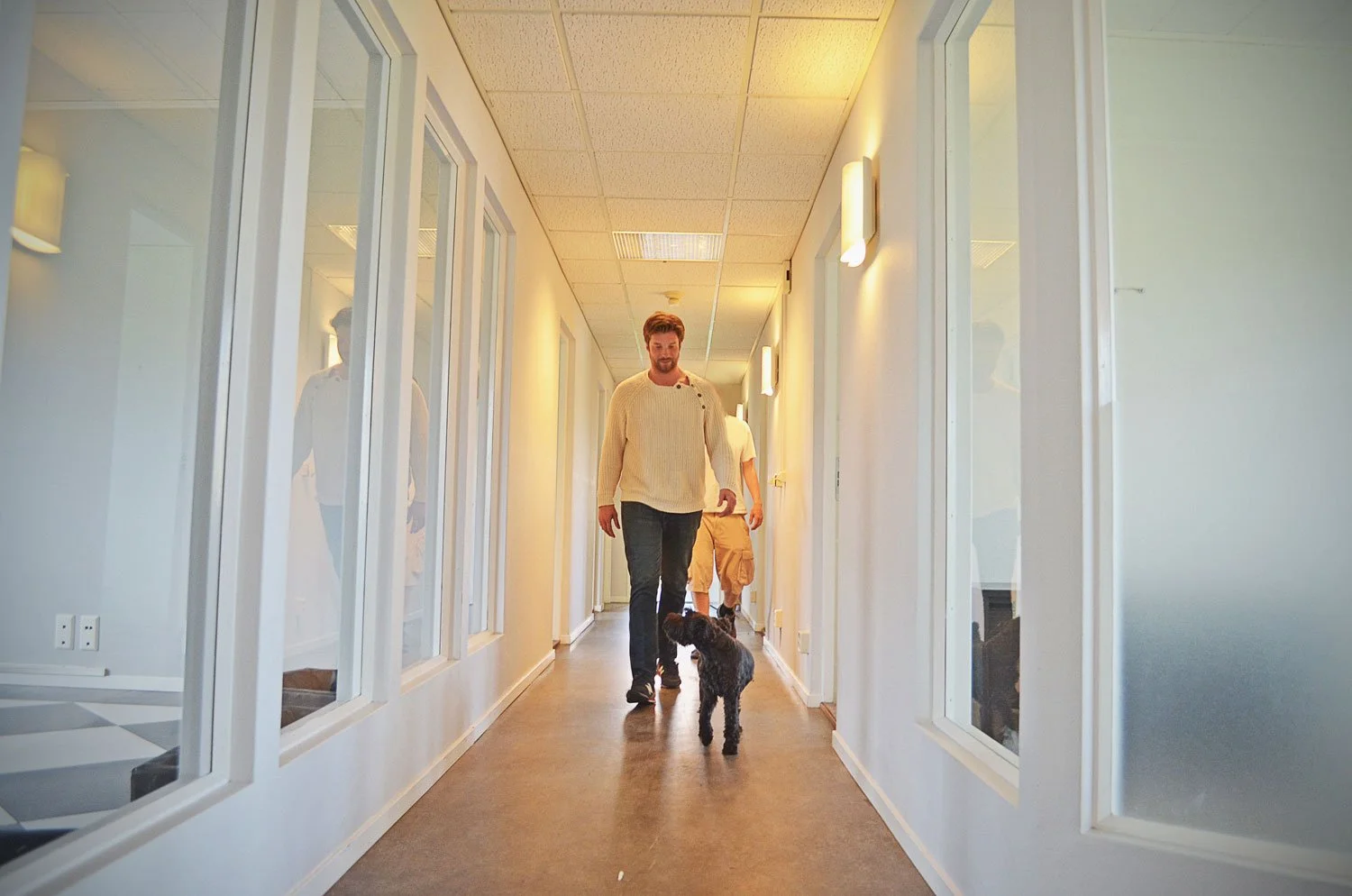 En man går med en hund i en korridor i ett kontorskomplex eller en klinik, med två andra personer i bakgrunden.