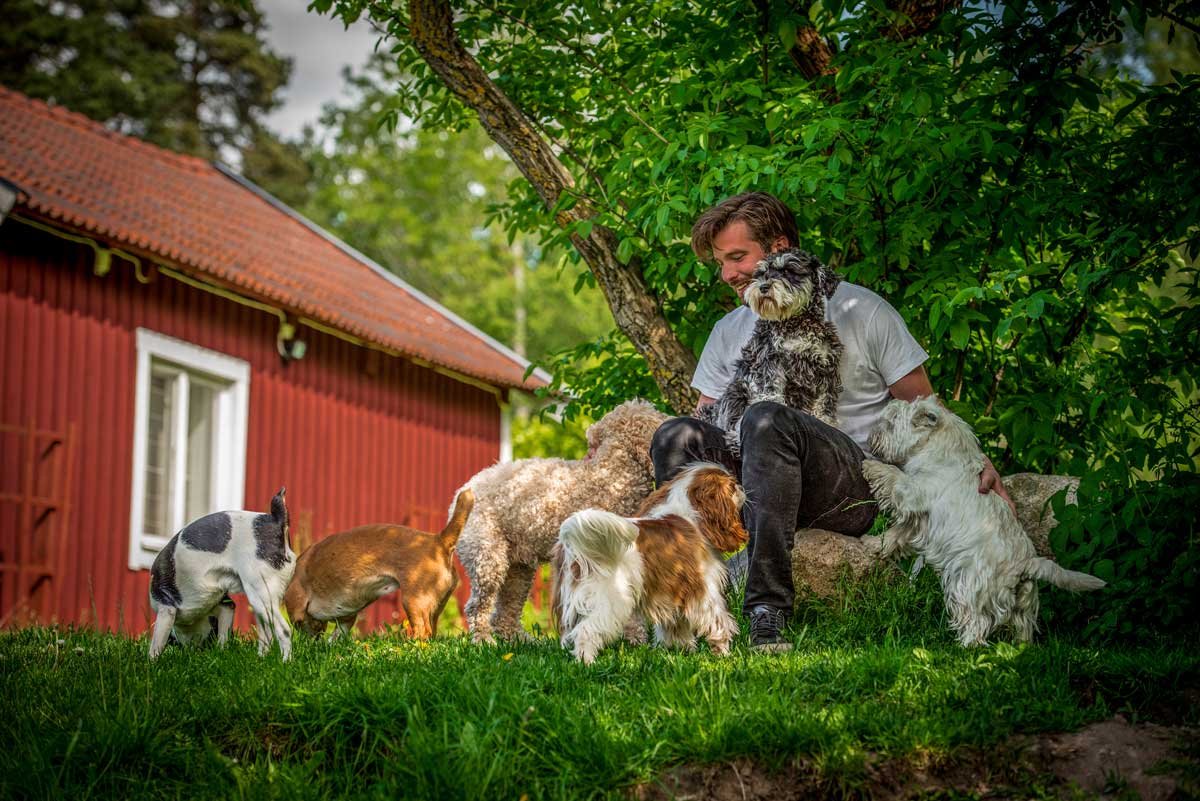 En man omgiven av fem hundar utomhus, framför en röd stuga och gröna träd.
