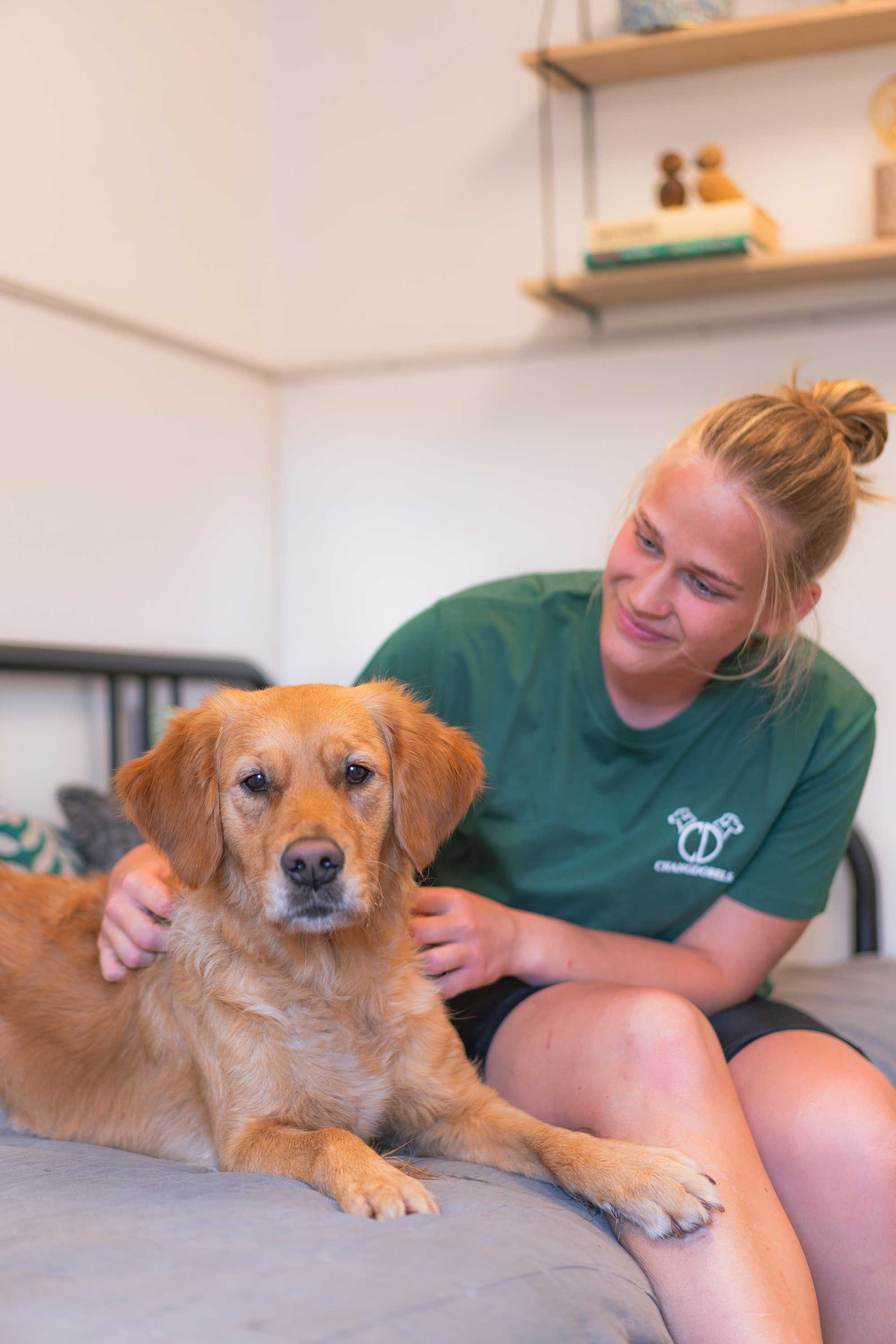 En ung kvinna med ljust hår i en knut ler medan hon klappar en golden retriever hund som ligger på ett soffbord inomhus.