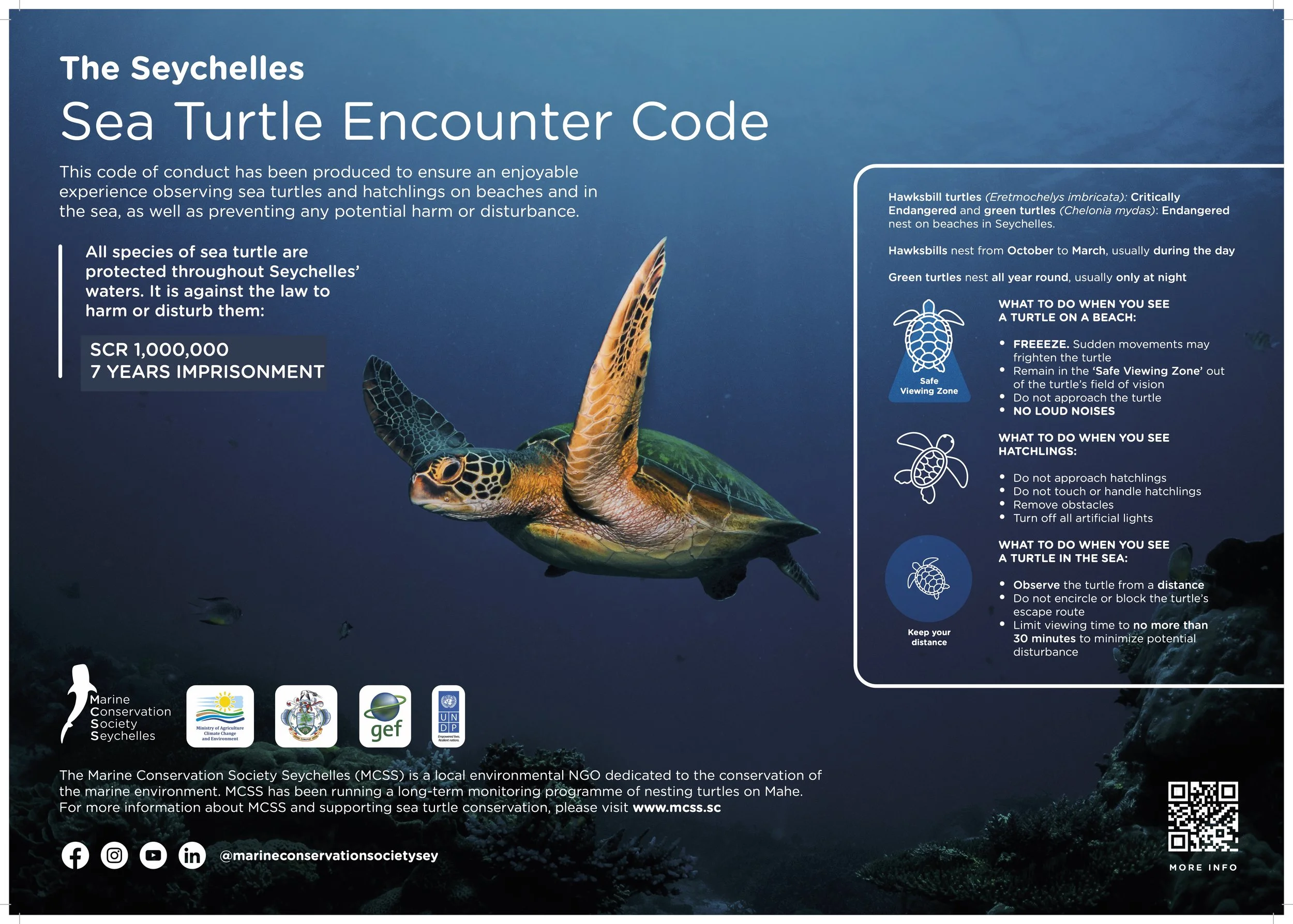Infographic about sea turtle conservation in Seychelles featuring a photo of a sea turtle swimming in ocean water, with text and icons explaining turtle species, behaviors, and protection guidelines.