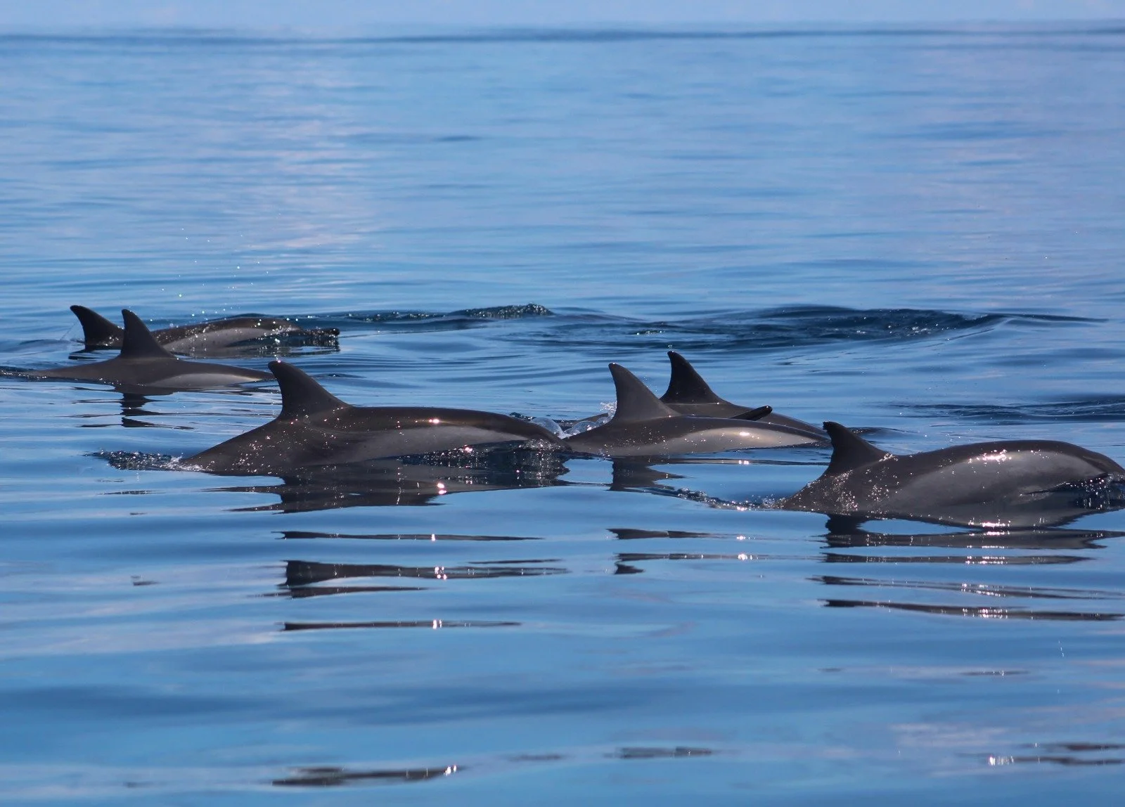 WhatsApp Image 2026-01-19 at 12.39.17 PM (1) (1).jpeg