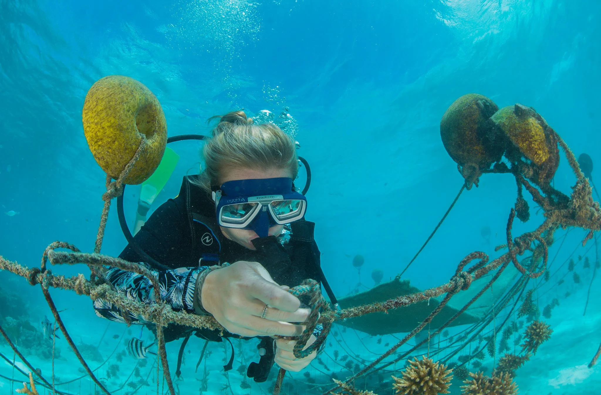 A woman scuba diving underwater holding a rusty, encrusted anchor, with coral and other marine life around.
