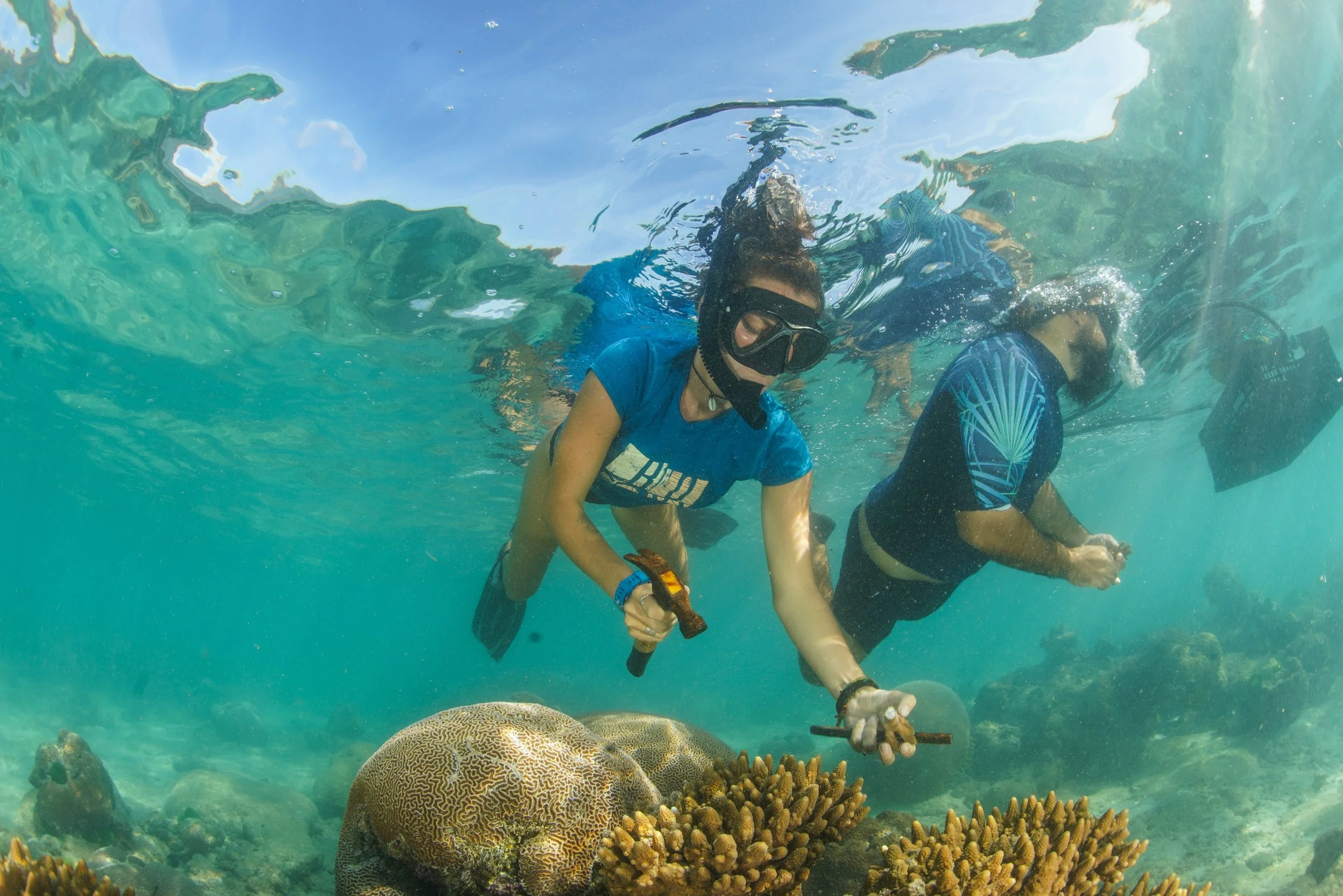 Two people snorkeling underwater among coral reefs, wearing snorkeling masks and fins, with one holding a small underwater tool or camera.