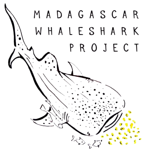 Illustration of a whale with the text 'Madagascar Whaleshark Project' and a cluster of yellow whale shark eggs.