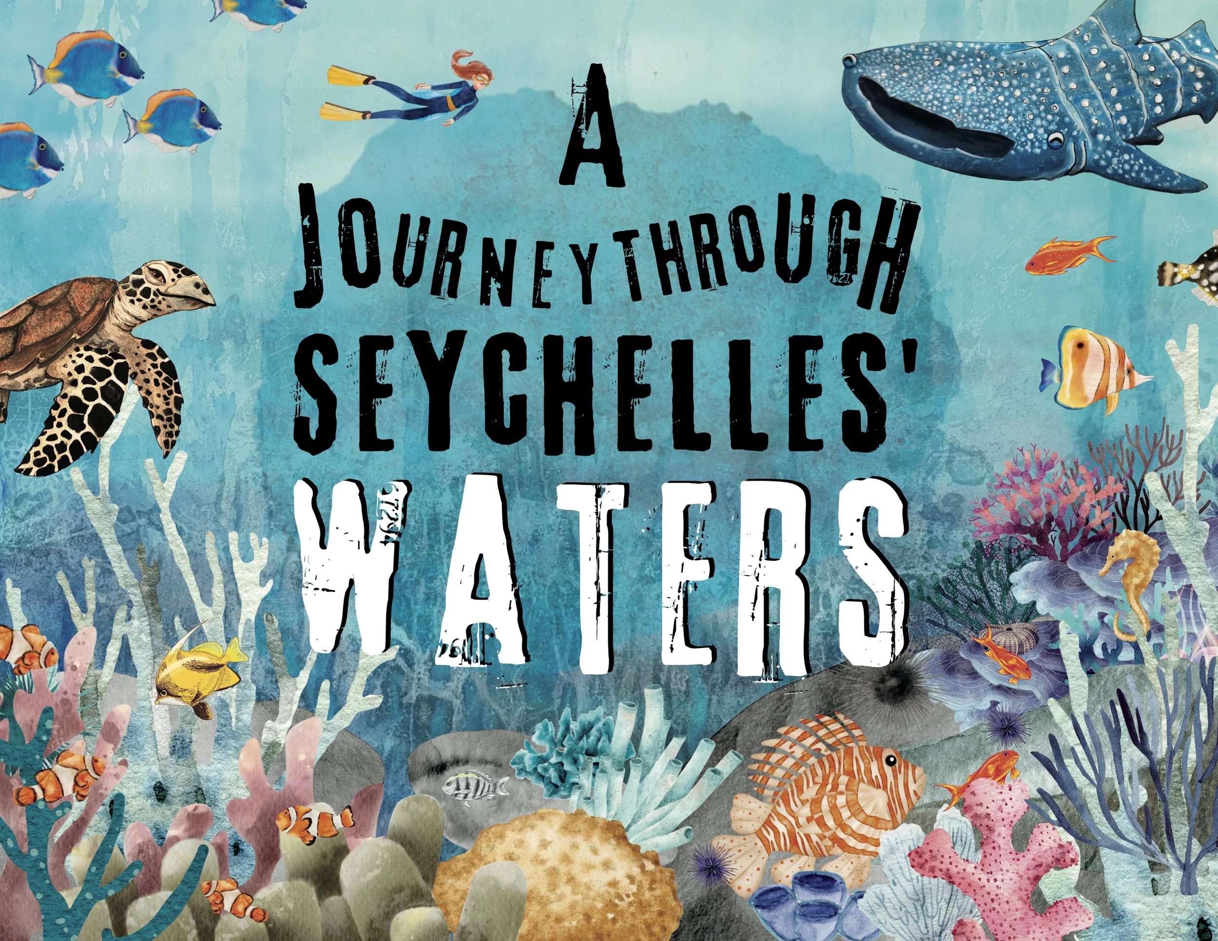 A Journey through Seychelles' Waters