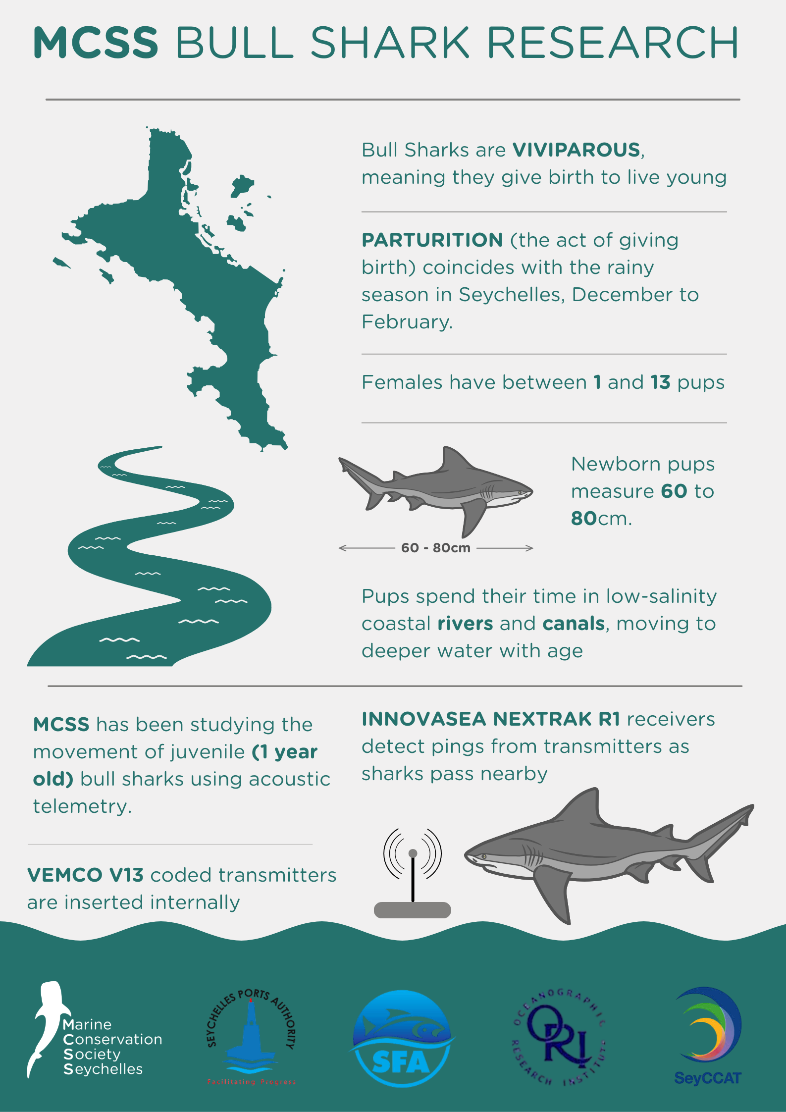 Infographic on bull shark research in Seychelles showing a map of Seychelles, a baby bull shark, and various facts about bull sharks such as their viviparous reproduction, pup size, and movements in rivers and canals. Logos of research organizations are at the bottom.