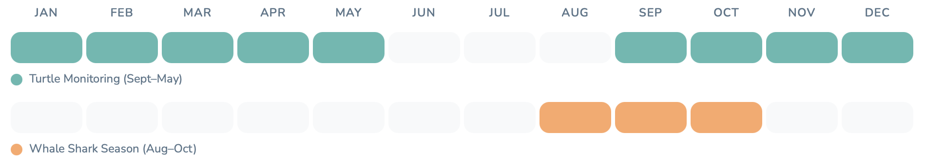 A horizontal chart displaying the seasonal monitoring periods for turtles and whale sharks across the months. Turtle monitoring occurs from September to May, while whale shark season is from August to October.
