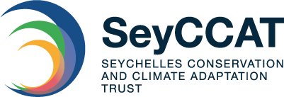 Google Cloud logo with a multicolored cloud icon