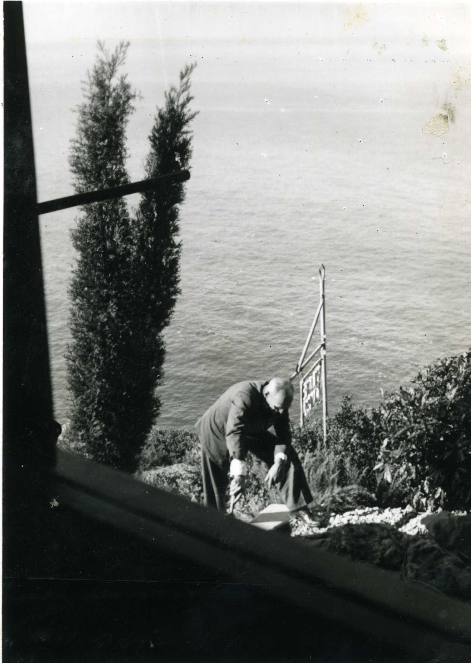 PADRE GREEN_2_116.jpeg