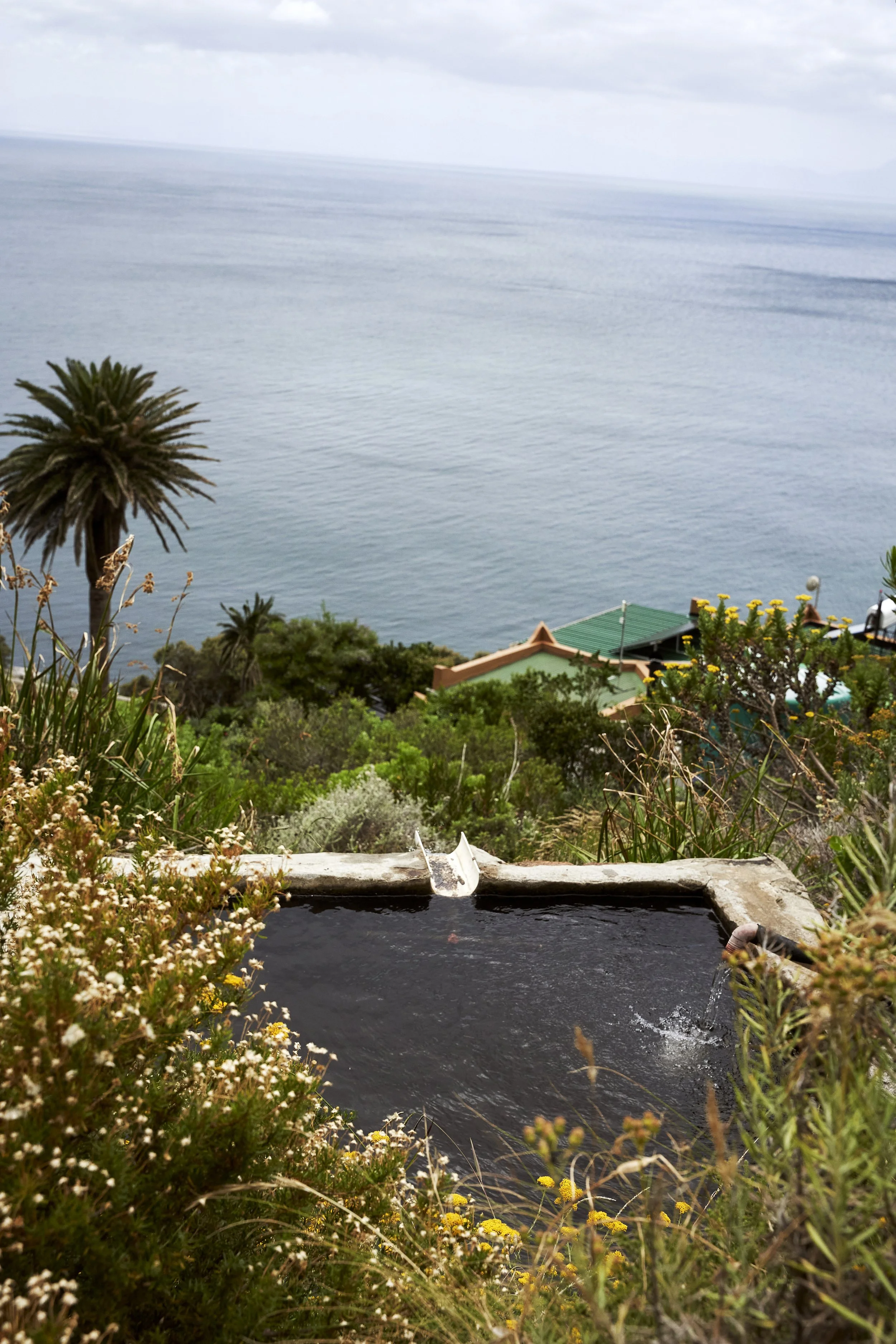 Fresh Mountain water 